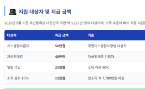 2025년 7월 민생지원금 ...